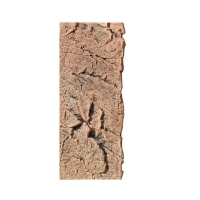 BTN Achterwand Slimline 60-C Red 20x55cm BTN Achterwand Slimline 60-C Red 20x55cm