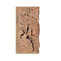BTN Achterwand Slimline 50-C Red 20x45cm BTN Achterwand Slimline 50-C Red 20x45cm