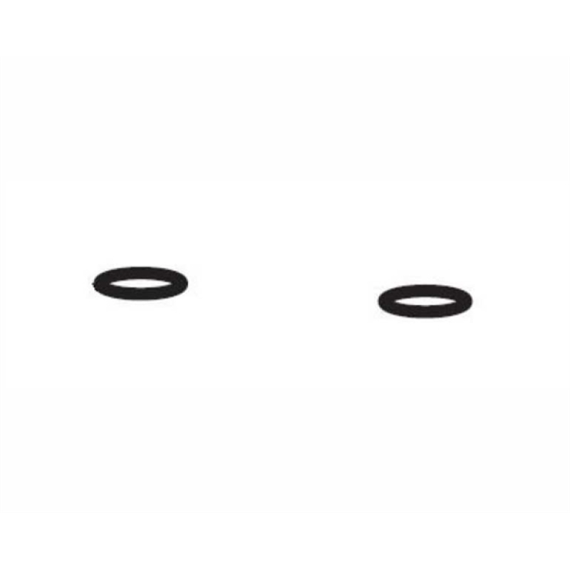 Aquatlantis o-ring slangadapter tbv cleansys pro 1400/1800