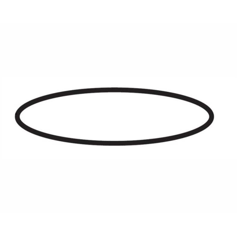 Aquatlantis o-ring pompkop tbv cleansys pro 1400/1800
