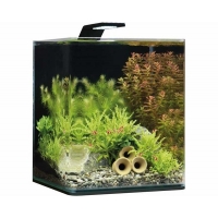 Dennerle nanocube basic 20L Dennerle nanocube basic 20L