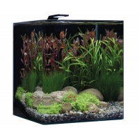 Dennerle nanocube basic 60L Dennerle nanocube basic 60L