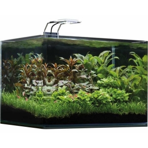 Dennerle nano scapers tank basic 35L