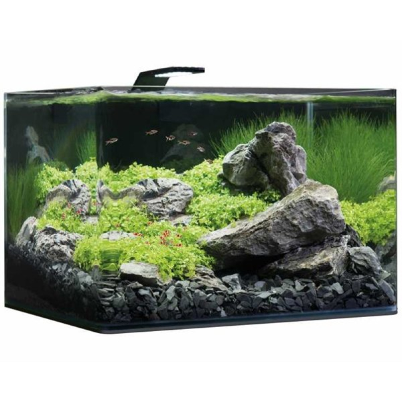 Dennerle nano scapers tank basic 55L
