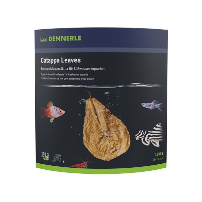 Dennerle catappa leaves 10 pcs.