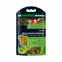 Dennerle nano algae wafers 40 st.