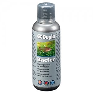 Dupla Bacter 250ml