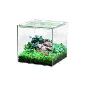 Aquatlantis aquarium volglas kubus 5L 18x18.6x18cm