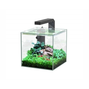 Aquatlantis aquarium volglas kubus 5L 18x18.6x18cm incl led