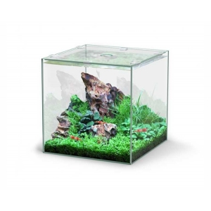 Aquatlantis aquarium full glass cube 10L 22x22.6x22cm
