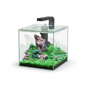Aquatlantis aquarium volglas kubus 10L 22x22.6x22cm incl led