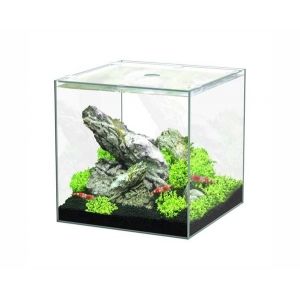 Aquatlantis aquarium volglas kubus 15L 25.5x26.1x25.5cm