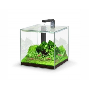 Aquatlantis aquarium full glass cube 22L 29x29.8x29cm incl ledlight