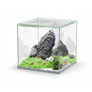Aquatlantis aquarium full glass cube 33L 33x34x33cm