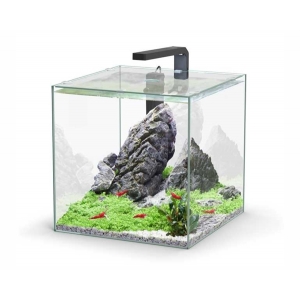 Aquatlantis aquarium full glass cube 33L 33x34x33cm incl ledlight