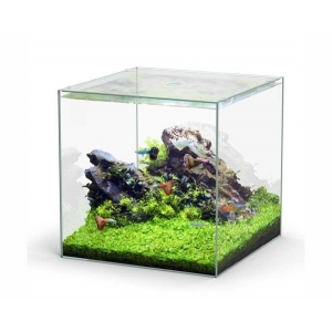 Aquatlantis aquarium volglas kubus 54L 38.8x38.8x38.8cm