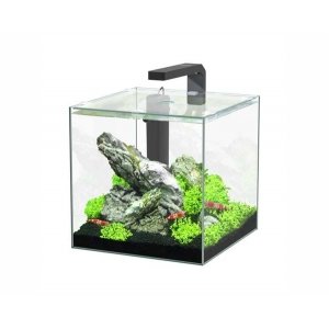 Aquatlantis aquarium full glass cube 15L 25.5x26.1x25.5cm incl ledlight