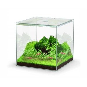 Aquatlantis aquarium volglas kubus 22L 29x29.8x29cm