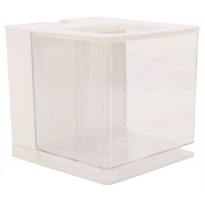 Plastic betta tank wit