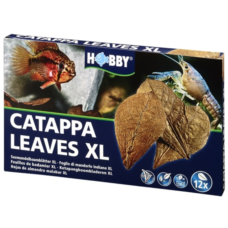 Hobby nano catappa leaves xl 12 st.