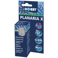 Hobby Planaria x