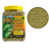 Zoomed Natural Juvenile Iguana Food