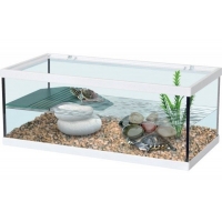 Aquatlantis Schildpadbak Tortum 40x20x18cm