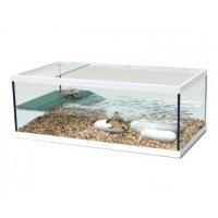 Aquatlantis Schildpadbak Tortum 55x30x20cm