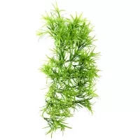 Hobby Terrano Climber Tropica Hangend 37cm