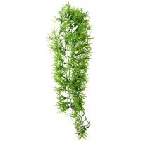 Hobby Terrano Climber Tropica Hangend 70cm