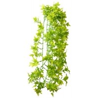 Hobby Terrano Climber Ivy Hangend 70cm