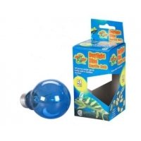 Zoomed Daglicht Blauw Reptile Lamp 100W