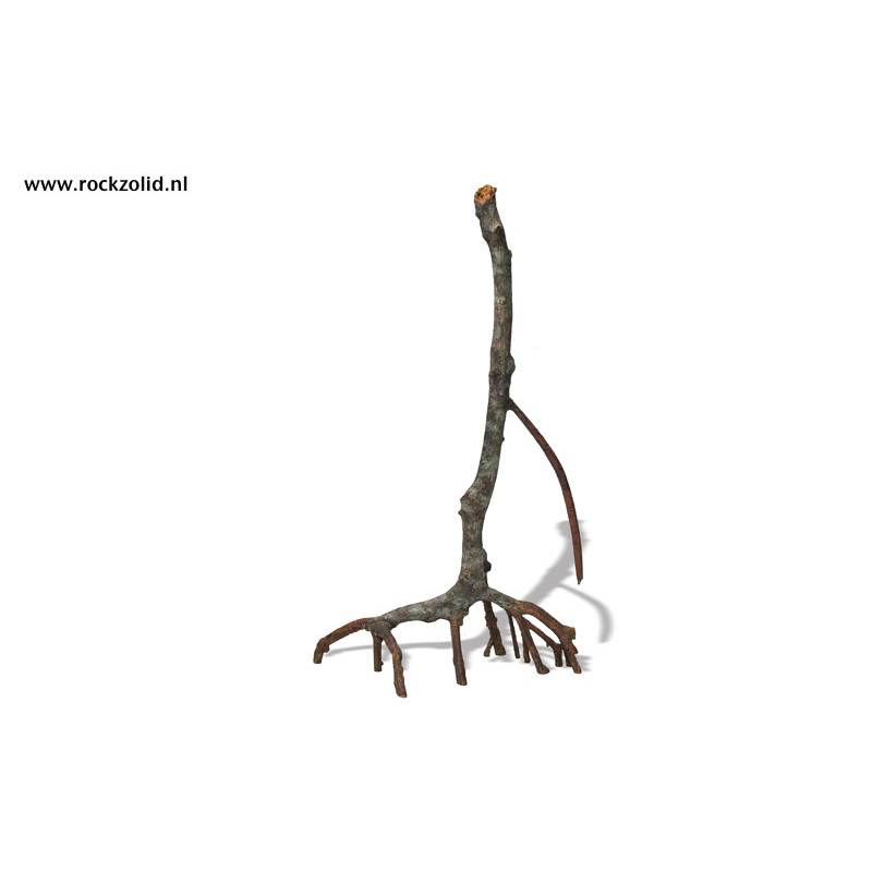 Rockzolid Mangrove E
