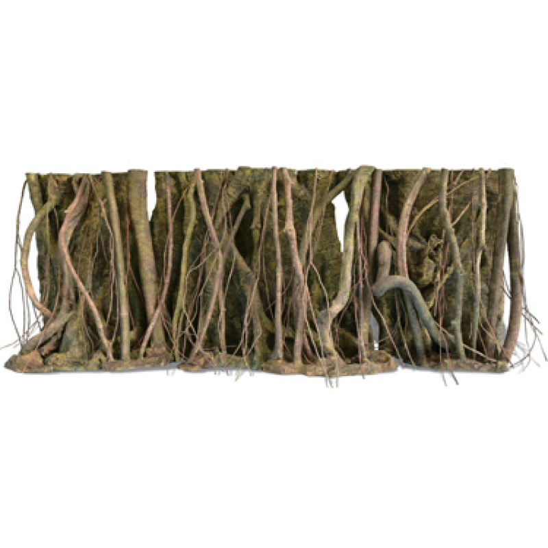 Rockzolid Tropical forest roots