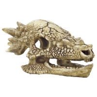 Superfish Skull T Rex M