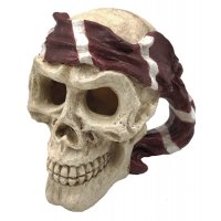 Superfish Skull Red Pirate