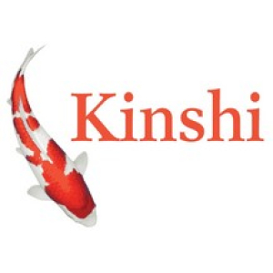 Kinshi