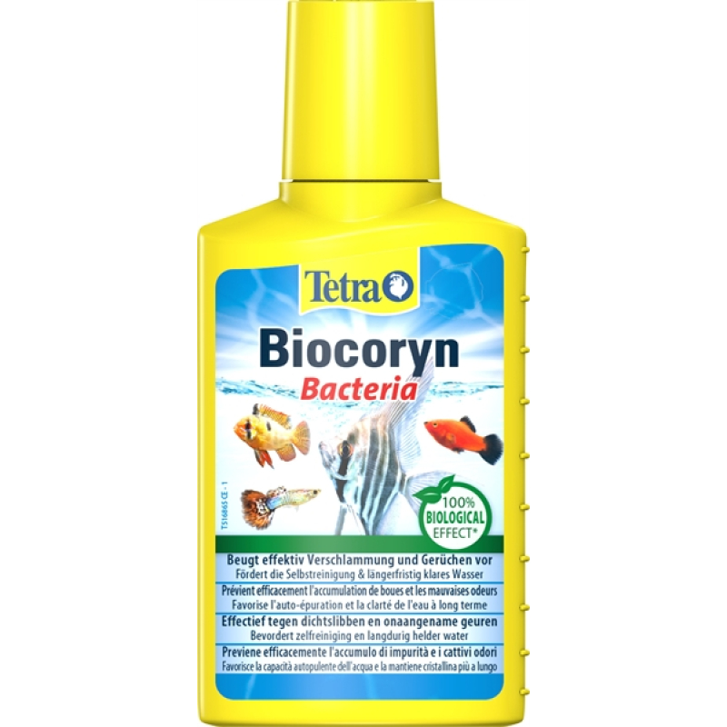 Tetra biocoryn bacteria 100ml
